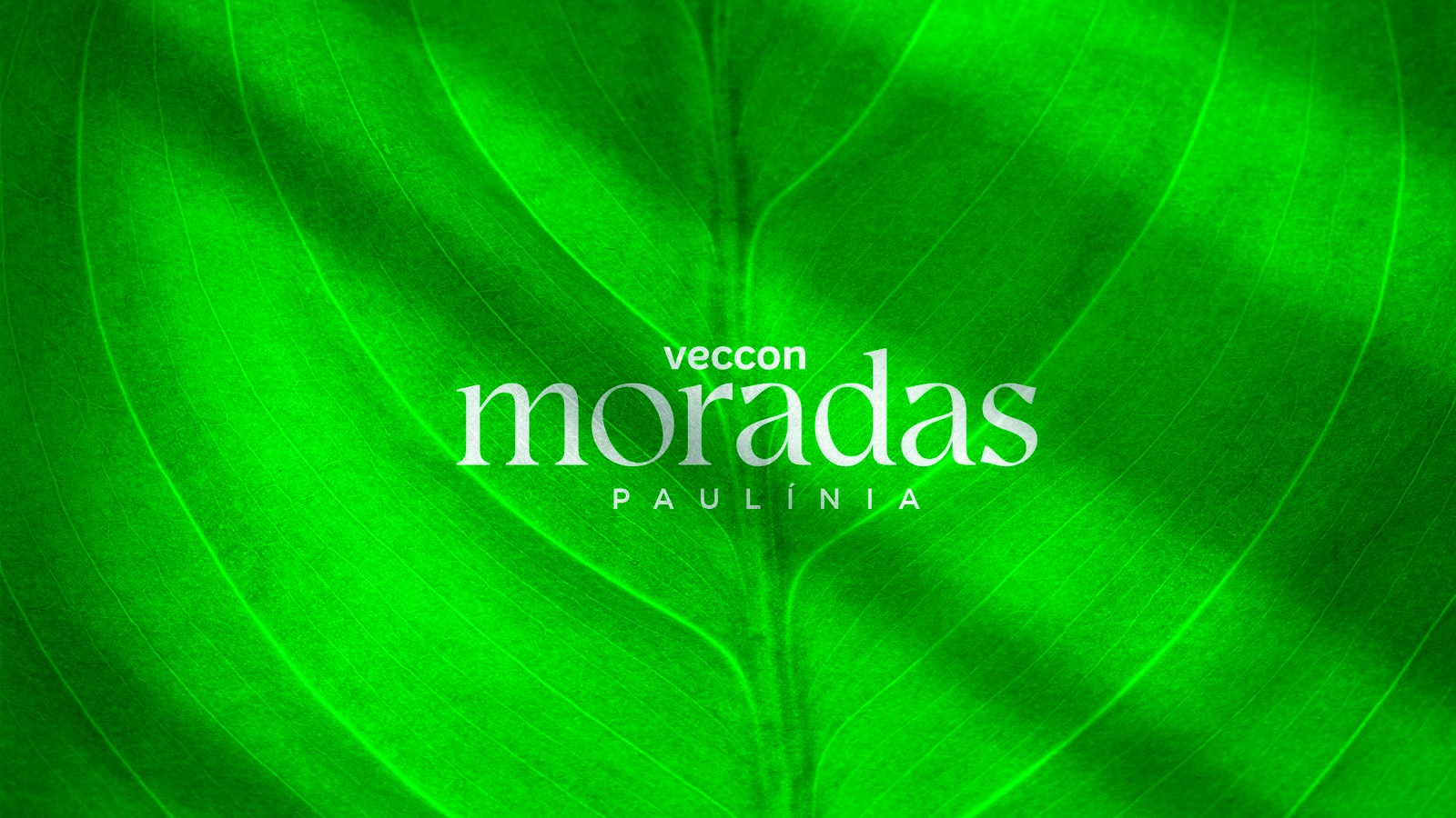 Veccon Moradas Paulínia — área de lazer (foto 10 de 12) em Paulínia